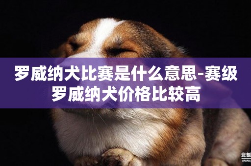 羅威納犬比賽是什么意思-賽級羅威納犬價格比較高