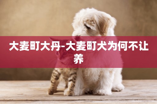 大麥町大丹-大麥町犬為何不讓養