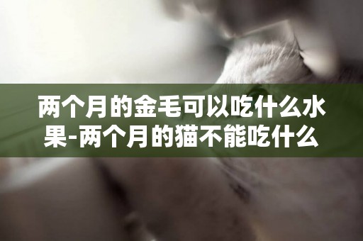 兩個月的金毛可以吃什么水果-兩個月的貓不能吃什么水果