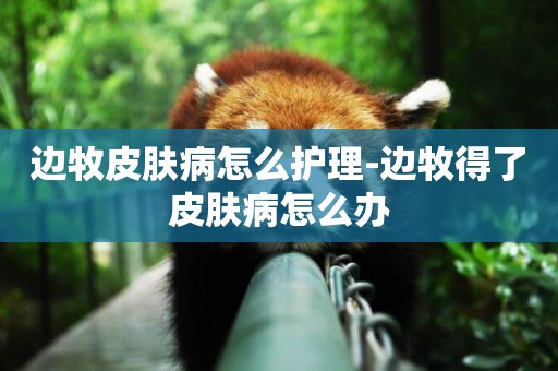 邊牧皮膚病怎么護理-邊牧得了皮膚病怎么辦