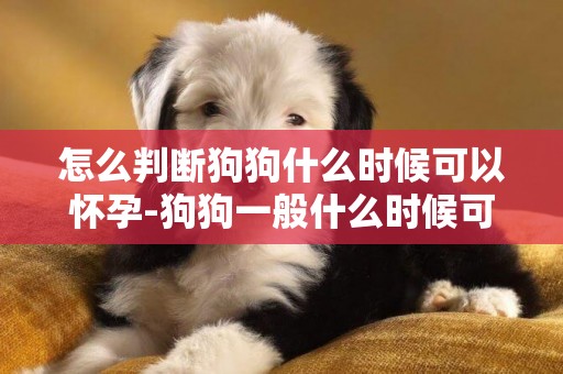 怎么判斷狗狗什么時候可以懷孕-狗狗一般什么時候可以斷奶