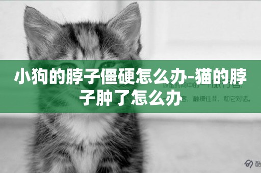 小狗的脖子僵硬怎么辦-貓的脖子腫了怎么辦