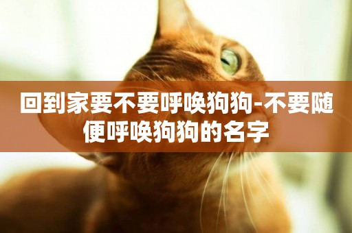 回到家要不要呼喚狗狗-不要隨便呼喚狗狗的名字