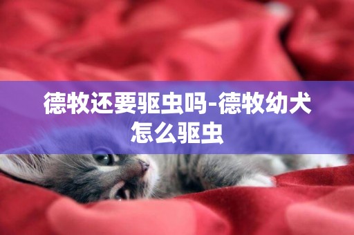 德牧還要驅蟲嗎-德牧幼犬怎么驅蟲