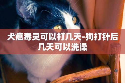 犬瘟毒靈可以打幾天-狗打針后幾天可以洗澡