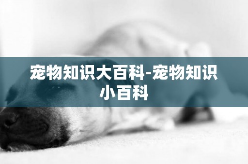 寵物知識大百科-寵物知識小百科