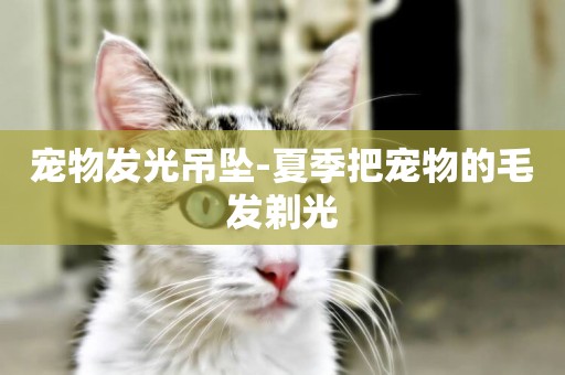 寵物發光吊墜-夏季把寵物的毛發剃光