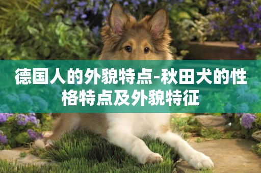 德國人的外貌特點-秋田犬的性格特點及外貌特征