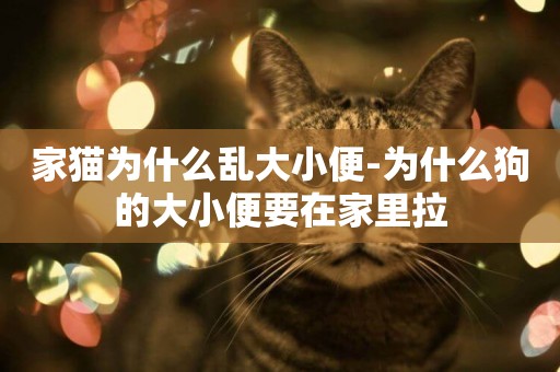 家貓為什么亂大小便-為什么狗的大小便要在家里拉