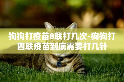 狗狗打疫苗8聯打幾次-狗狗打四聯疫苗到底需要打幾針