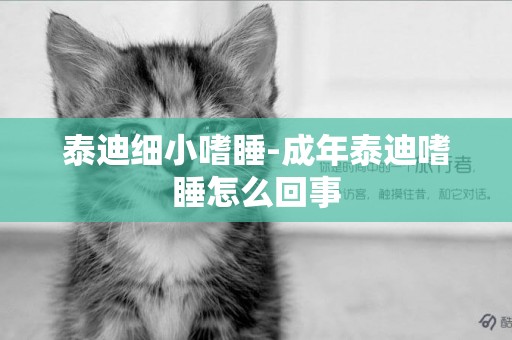泰迪細小嗜睡-成年泰迪嗜睡怎么回事