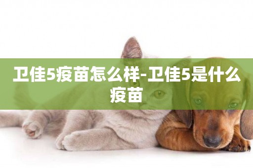 衛佳5疫苗怎么樣-衛佳5是什么疫苗