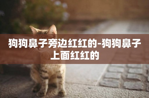 狗狗鼻子旁邊紅紅的-狗狗鼻子上面紅紅的