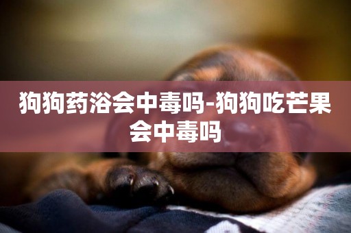 狗狗藥浴會中毒嗎-狗狗吃芒果會中毒嗎