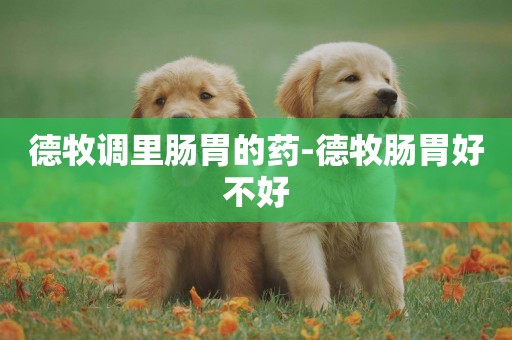 德牧調里腸胃的藥-德牧腸胃好不好