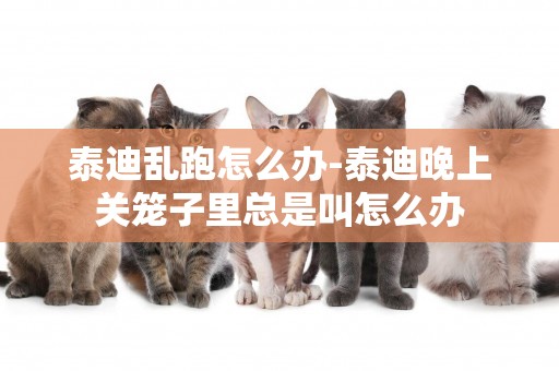 泰迪亂跑怎么辦-泰迪晚上關籠子里總是叫怎么辦