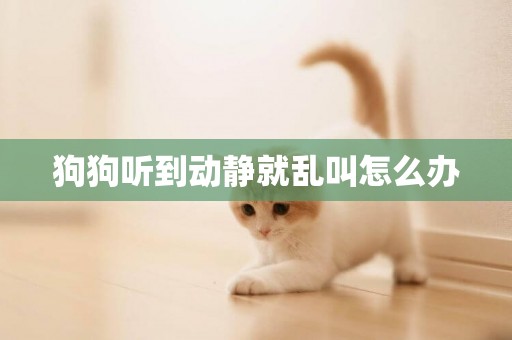 狗狗聽到動靜就亂叫怎么辦