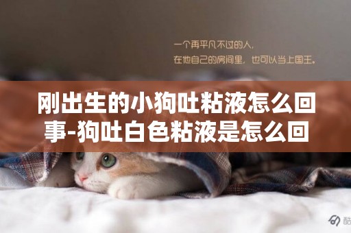 剛出生的小狗吐粘液怎么回事-狗吐白色粘液是怎么回事