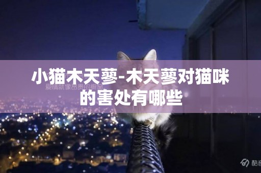 小貓木天蓼-木天蓼對貓咪的害處有哪些