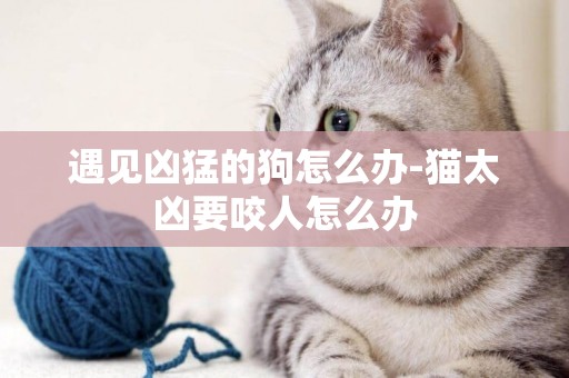 遇見兇猛的狗怎么辦-貓太兇要咬人怎么辦