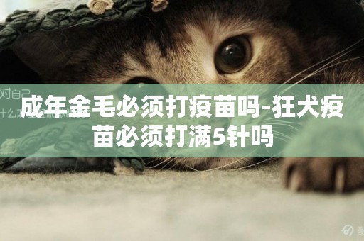 成年金毛必須打疫苗嗎-狂犬疫苗必須打滿5針嗎
