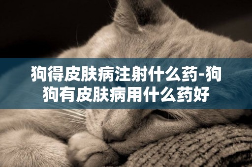 狗得皮膚病注射什么藥-狗狗有皮膚病用什么藥好