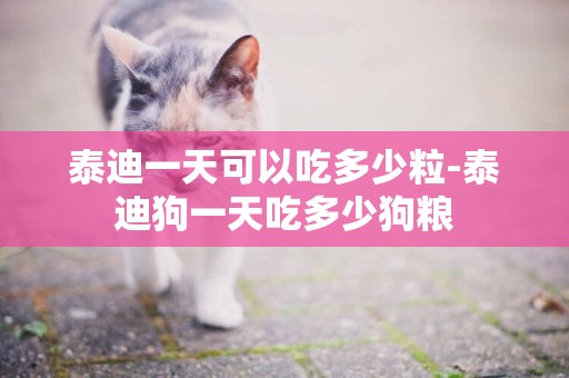 泰迪一天可以吃多少粒-泰迪狗一天吃多少狗糧