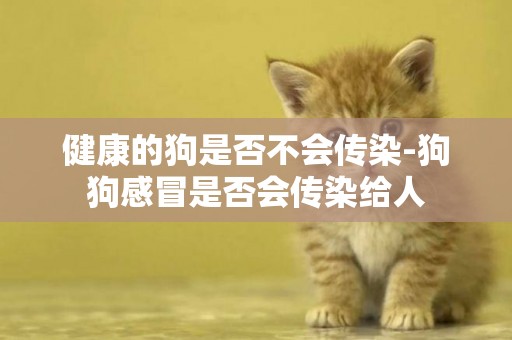 健康的狗是否不會傳染-狗狗感冒是否會傳染給人