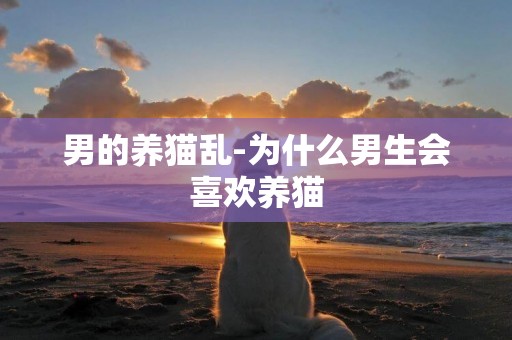 男的養貓亂-為什么男生會喜歡養貓