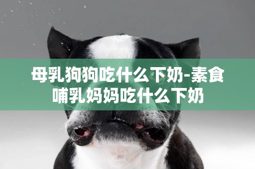 母乳狗狗吃什么下奶-素食哺乳媽媽吃什么下奶