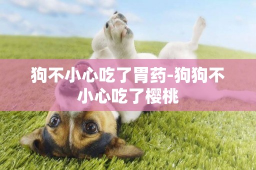 狗不小心吃了胃藥-狗狗不小心吃了櫻桃