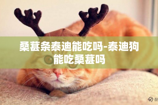 桑葚條泰迪能吃嗎-泰迪狗能吃桑葚嗎