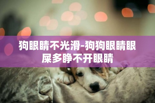 狗眼睛不光滑-狗狗眼睛眼屎多睜不開眼睛