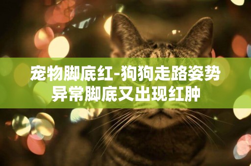 寵物腳底紅-狗狗走路姿勢異常腳底又出現紅腫