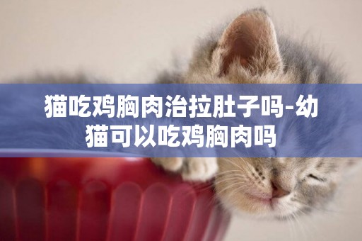 貓吃雞胸肉治拉肚子嗎-幼貓可以吃雞胸肉嗎