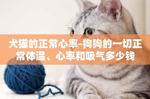 犬貓的正常心率-狗狗的一切正常體溫、心率和吸氣多少錢