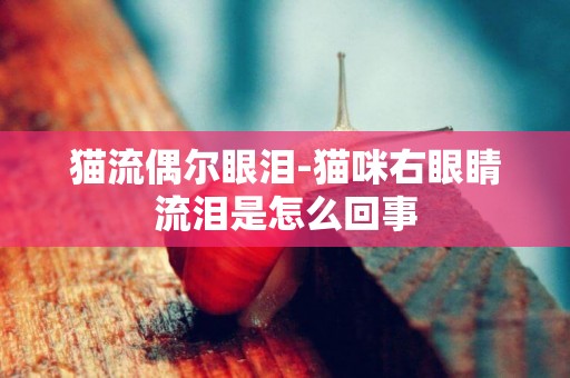 貓流偶爾眼淚-貓咪右眼睛流淚是怎么回事