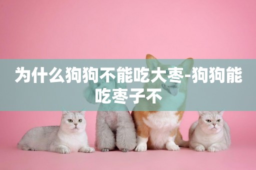 為什么狗狗不能吃大棗-狗狗能吃棗子不