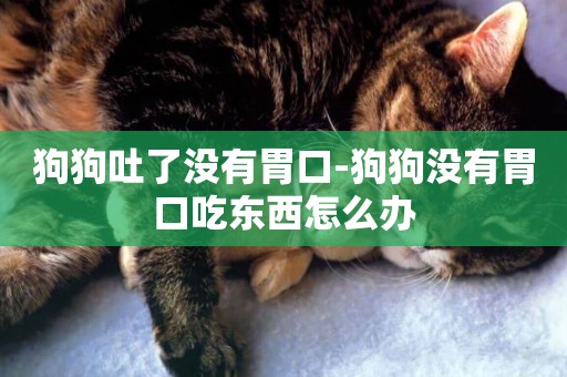 狗狗吐了沒有胃口-狗狗沒有胃口吃東西怎么辦