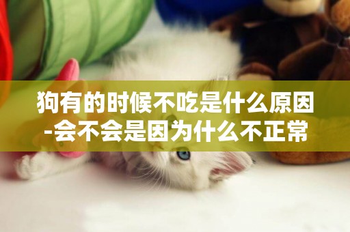 狗有的時候不吃是什么原因-會不會是因為什么不正常的原因