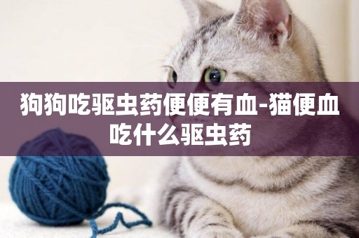 狗狗吃驅蟲藥便便有血-貓便血吃什么驅蟲藥