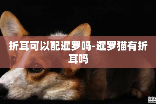 折耳可以配暹羅嗎-暹羅貓有折耳嗎