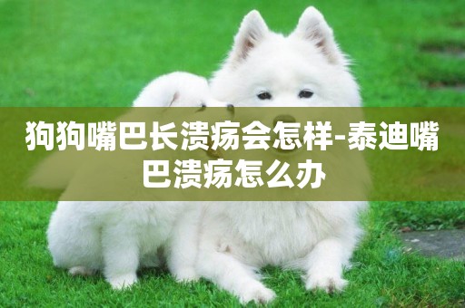 狗狗嘴巴長潰瘍會怎樣-泰迪嘴巴潰瘍怎么辦