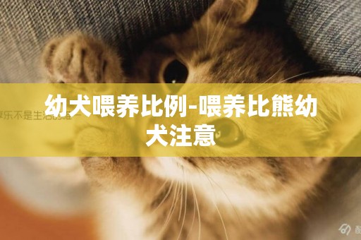 幼犬喂養比例-喂養比熊幼犬注意
