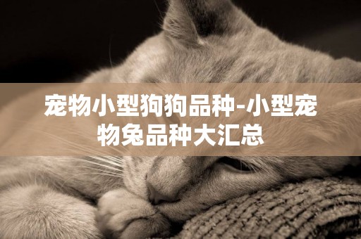 寵物小型狗狗品種-小型寵物兔品種大匯總