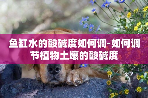 魚缸水的酸堿度如何調-如何調節植物土壤的酸堿度