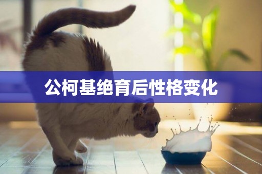 公柯基絕育后性格變化
