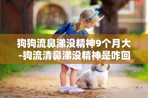 狗狗流鼻涕沒精神9個月大-狗流清鼻涕沒精神是咋回事