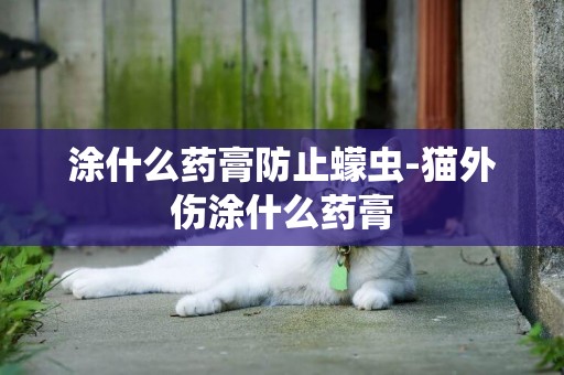 涂什么藥膏防止蠓蟲-貓外傷涂什么藥膏