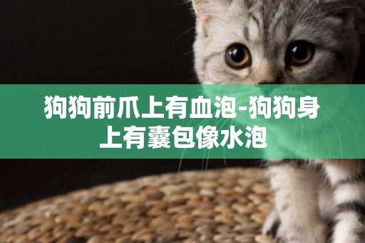 狗狗前爪上有血泡-狗狗身上有囊包像水泡